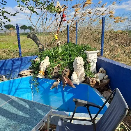 Sampiyon Butik Guest house Altinova (Ayvalik)